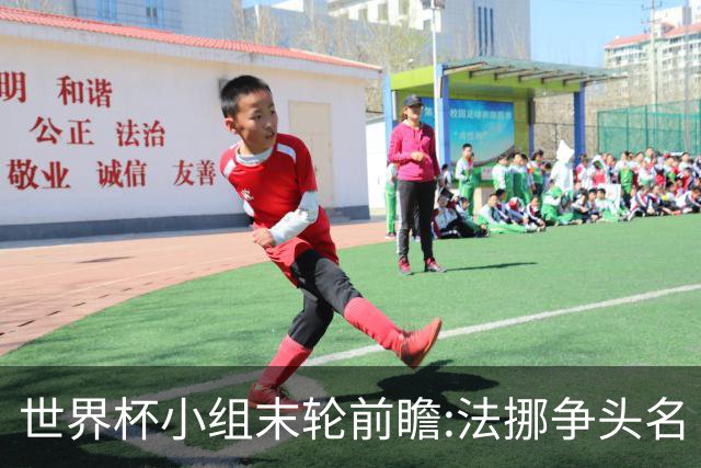 世界杯小组末轮前瞻:法挪争头名 西班牙仍不稳